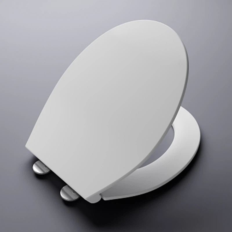 disposable toilet seat protectors